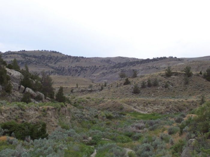 Rangeland - Wyoming