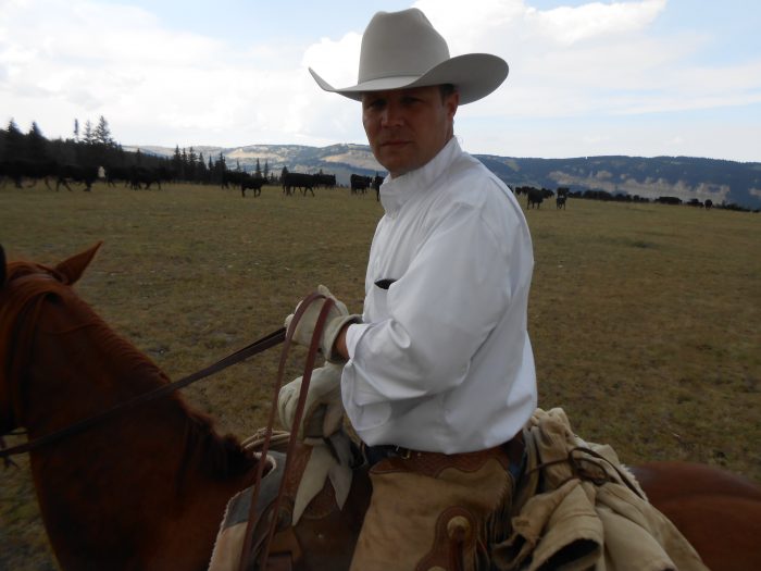 Beef Cattle - Wyoming